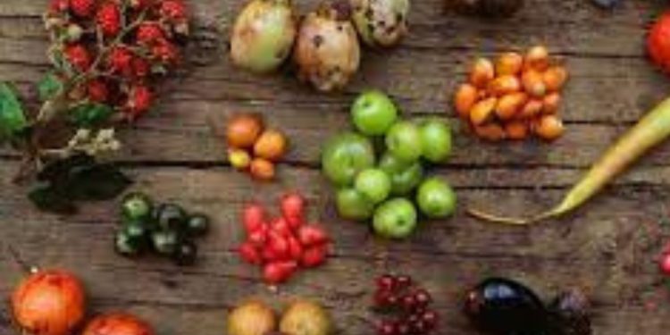 Australian Bush Foods