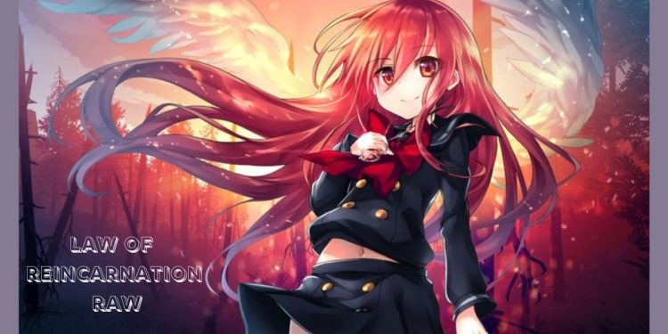 Law of reincarnation raw