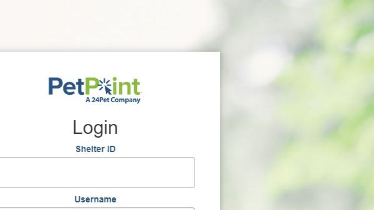 Petpoint login An online pet store