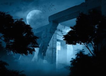 trails carolina horror stories