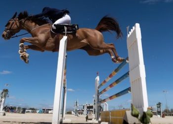 scottsdale arabian horse show 2023