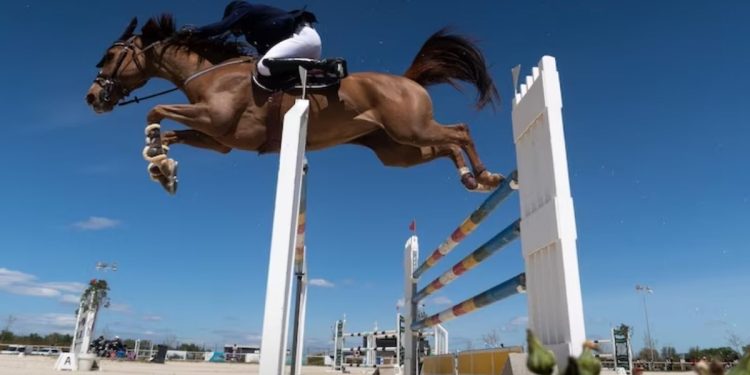 scottsdale arabian horse show 2023