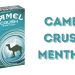 camel crush menthol