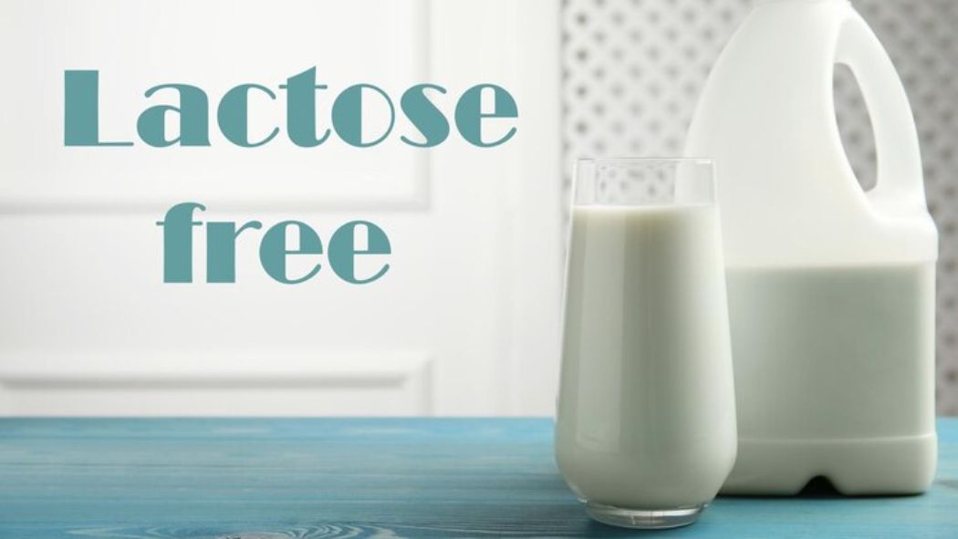 Lactose Free Milk: A Sip Towards Wellness