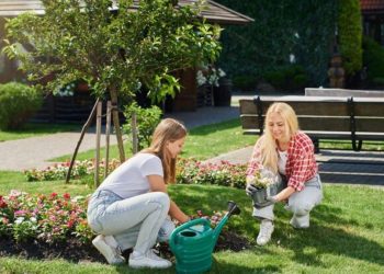 Landscaping Services