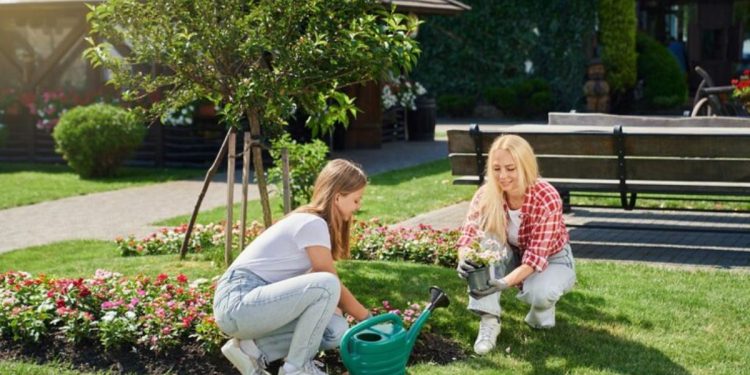 Landscaping Services