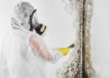 Mold Remediation