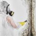 Mold Remediation