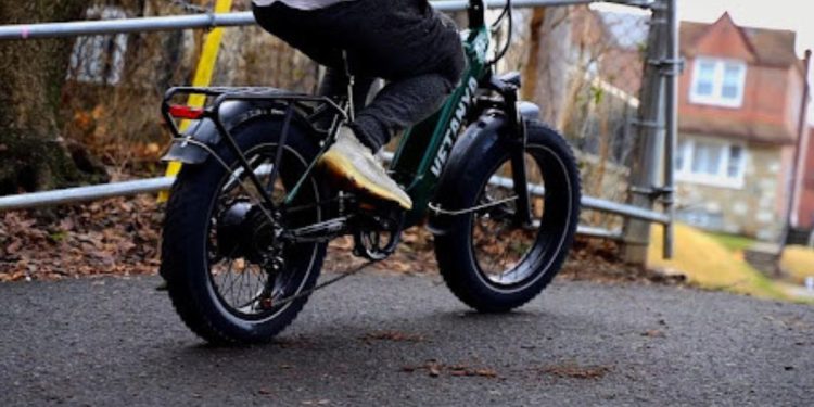 Pika Foldable E-Bike
