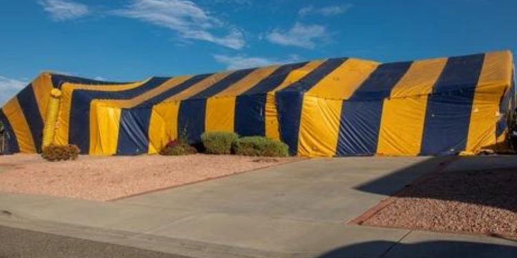 Termite Tent Fumigation