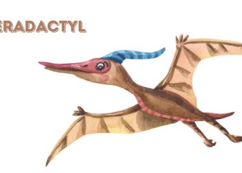 teradactyl