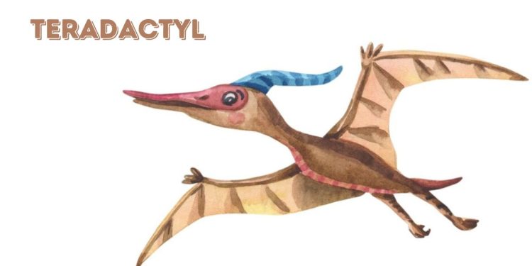 teradactyl