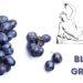 black grapes