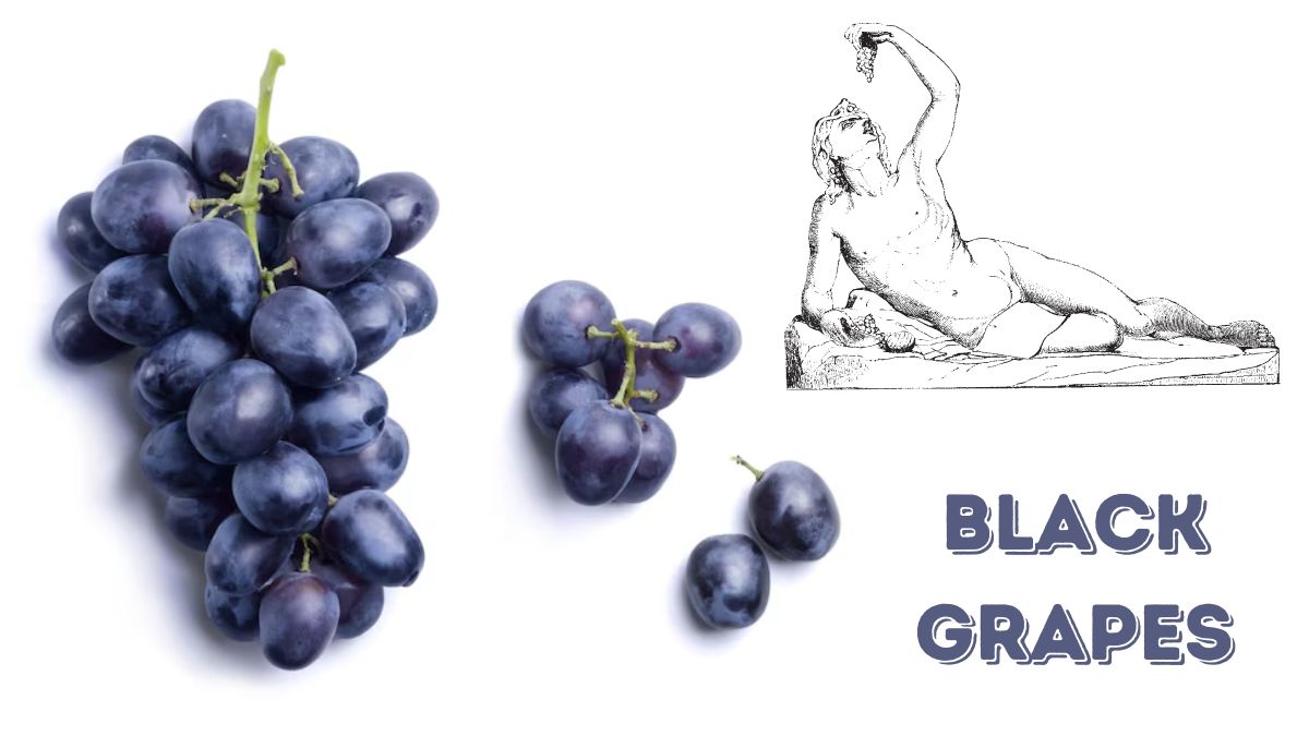 Black Grapes A Delectable Journey into Taste and Health