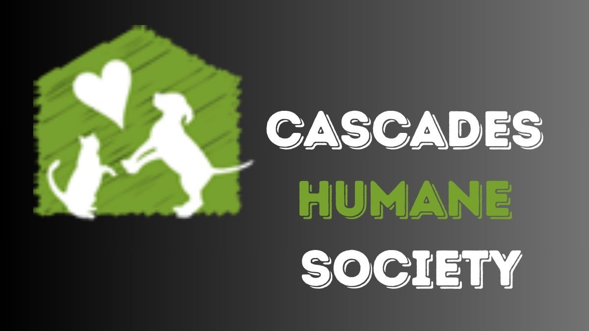 Cascades Humane Society A Beacon of Hope for Animals in Need