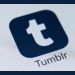 tumblr video downloader