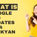 google seo updates 2024 jackyan