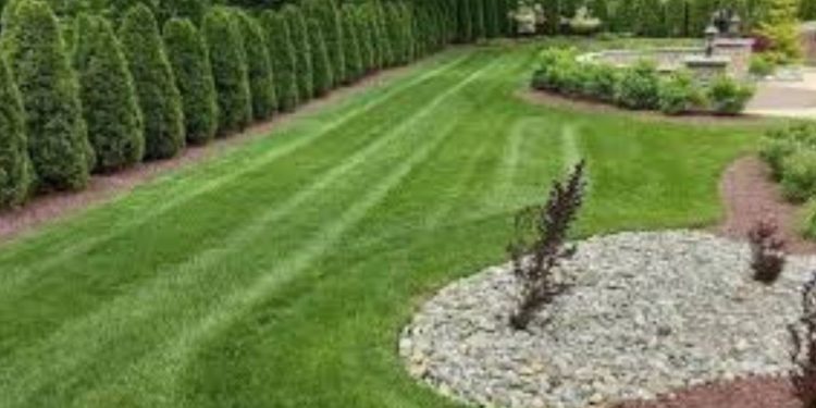 Grass Seeding Techniques