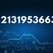2131953663
