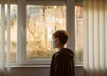 Light Your Way: Innovative Window Coverings for Style, Privacy, and Energy Efficiency