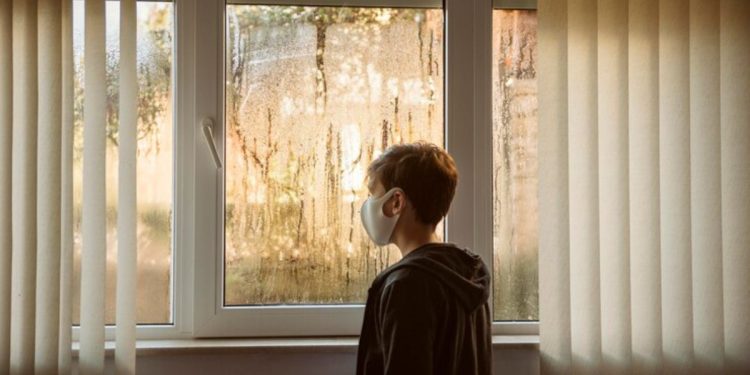 Light Your Way: Innovative Window Coverings for Style, Privacy, and Energy Efficiency