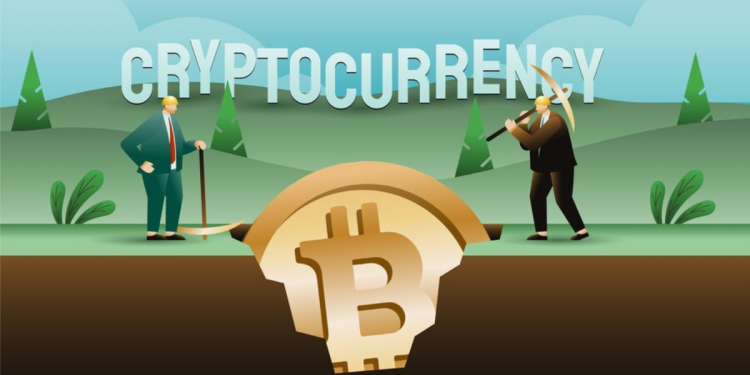 www cryptopronetworkcom