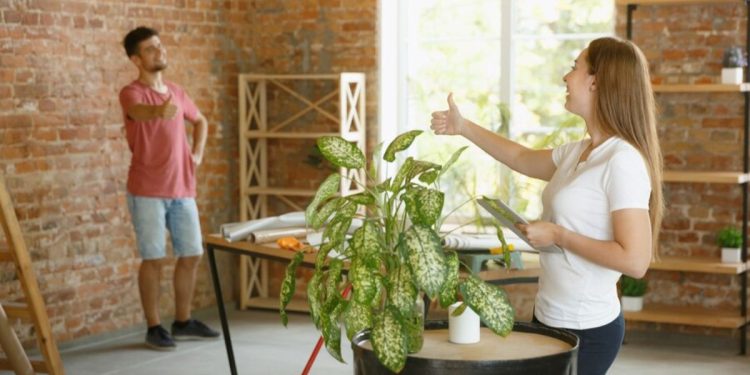 Exploring the Benefits of Jaulasim in Modern Living