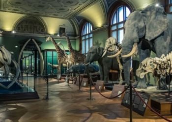 Historical House Museums