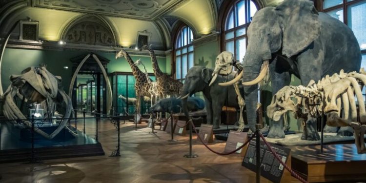 Historical House Museums