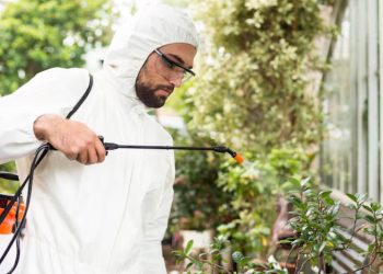 Natural Pest Control