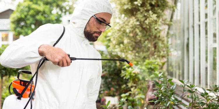 Natural Pest Control