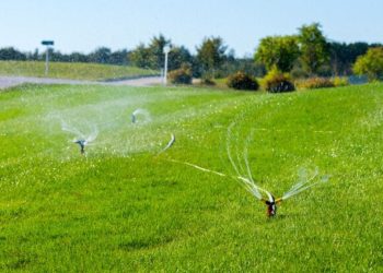 Water-Savvy Landscaping