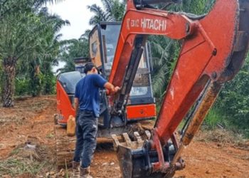Land Clearing Techniques