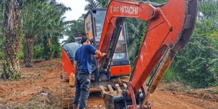 Land Clearing Techniques