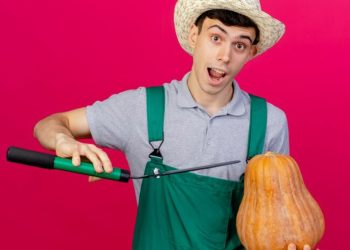 Ok human production papaya films country