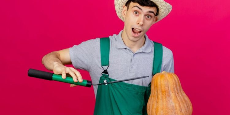 Ok human production papaya films country