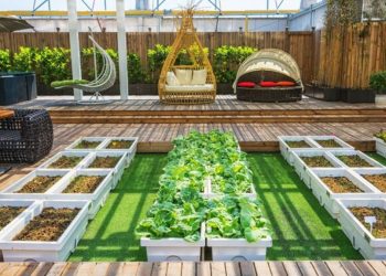 Creative Landscaping