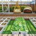 Creative Landscaping