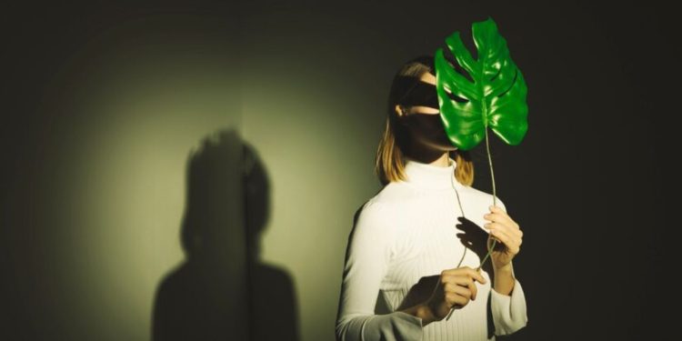 Daz Studio G8M Jungle Clothes