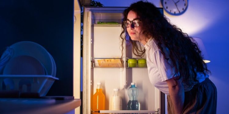 1981 Super Sentai Refrigerator