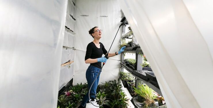 Exterior House Cleaning