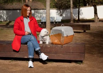 How is moroco premium dog stroller different than gen7 moroco