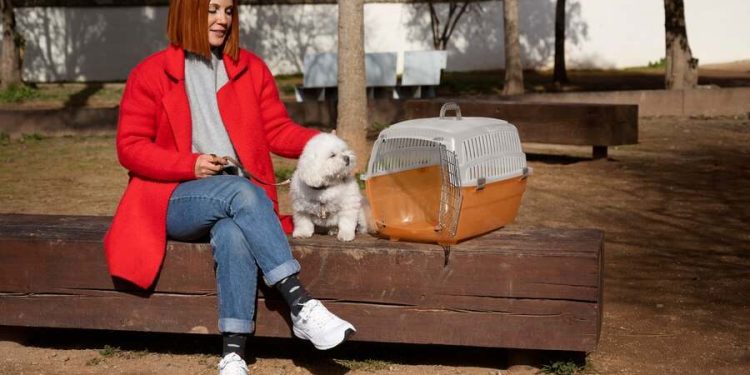 How is moroco premium dog stroller different than gen7 moroco