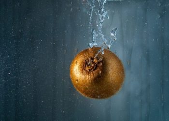 T.P.B. Water v Bronze Posnet