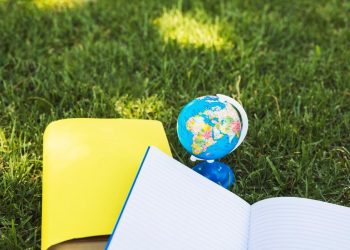 Terri Ficca 2007 Globe Park School