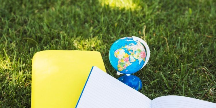 Terri Ficca 2007 Globe Park School