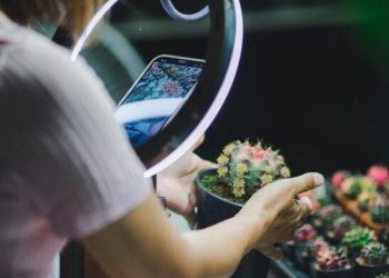 flordeliza lookupmovie2.to