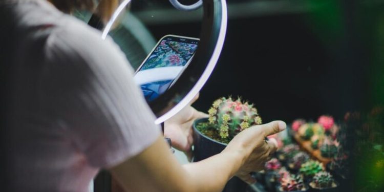 flordeliza lookupmovie2.to