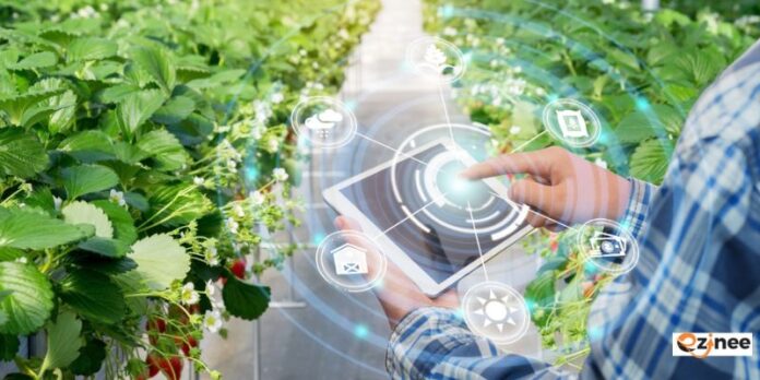 mannacote: Benefits, Uses, and How It Can Transform Your Life