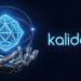 kalidcan: Real-Life Applications and Success Stories